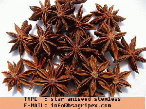 Viet Nam star anise